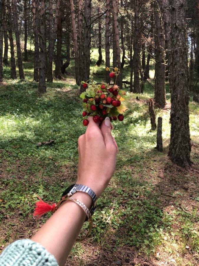 Ostello Tishe Omalo Esterno foto
